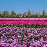 Aan 't Wiel Op Recreatiepark De Wielen Villa *