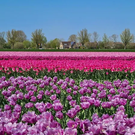 Aan 't Wiel Op Recreatiepark De Wielen Villa *